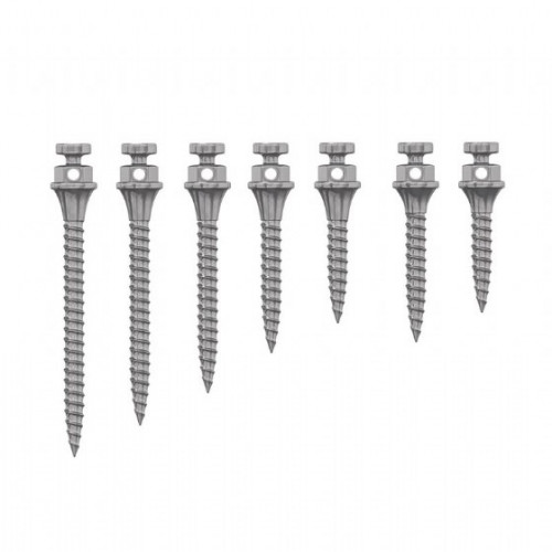 Mini Screw Titanium  Buton Başlı